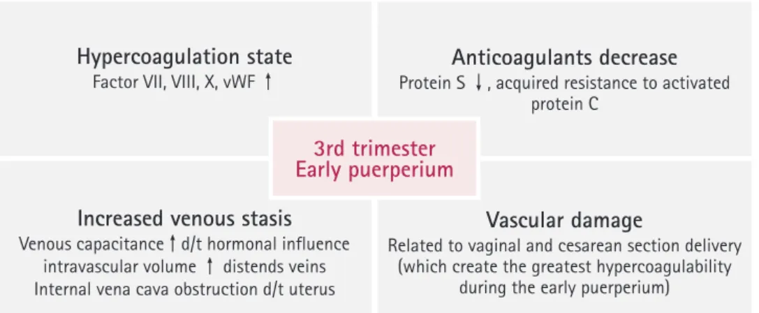 Fig. 1. Changes in the coagulation system during the third trimester of pregnancy and early puerperium