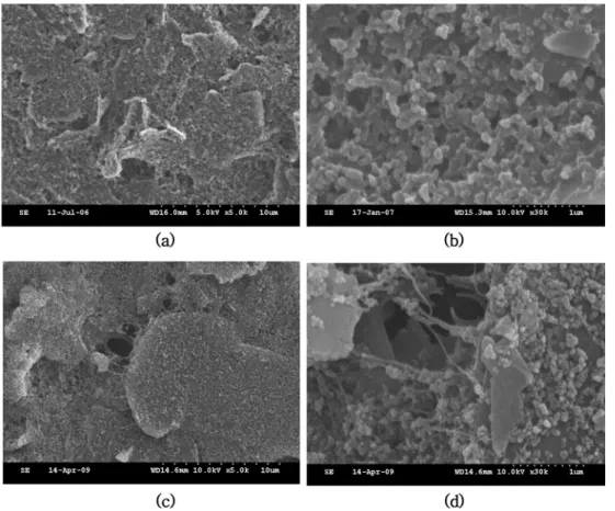 Fig. 3. Electropolymerization of osmium complex on the SPCEs and MWCNT-SPCEs.