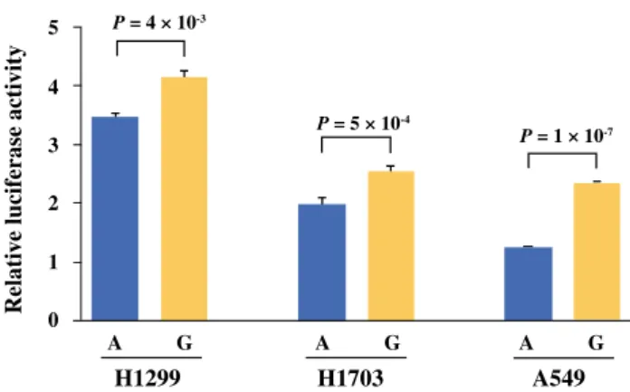 FIG. 2 Functional analysis of the rs1732786A[G in the DTX1 promoter region (-16 from transcription start site) using luciferase assay