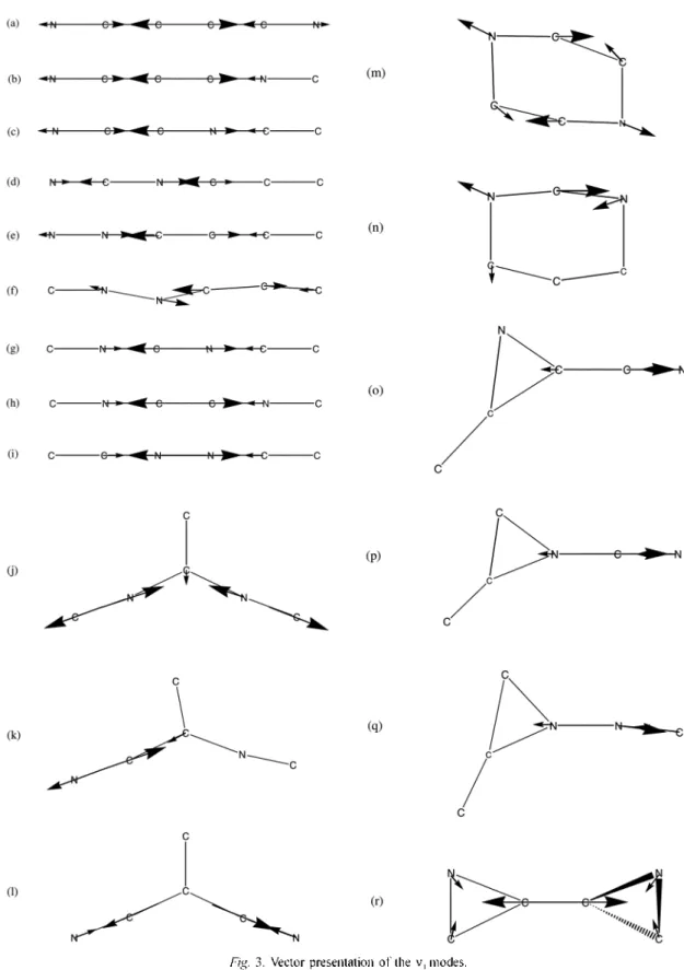 Fig.  3.  Vector presentation of the  v 1  modes.