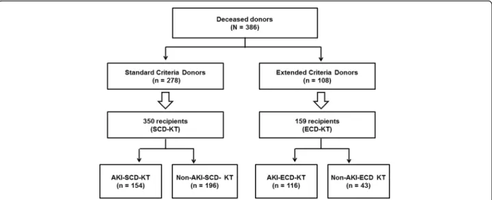 Fig. 1 Patient algorithm and distribution in this study. KTRs were classified into the SCD-KT group or the ECD-KT group according to the status of their corresponding donors