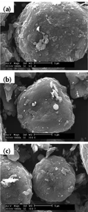Fig. 1. SEM micrographs of MGP(a), MGP-A(b) and MGP-LT(c). 