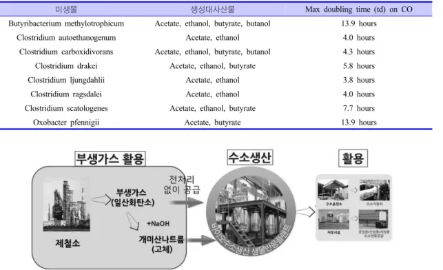 Table 3. 일산화탄소와 이산화탄소 이용 대사산물 생산 미생물[16]