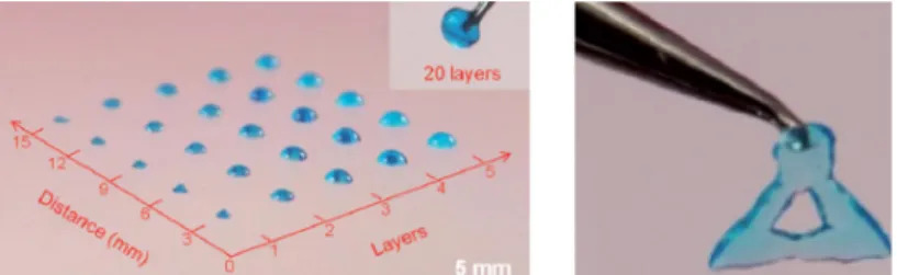 그림 2. 3D printing of polypeptide-DNA hydrogels into 3D structures with a blue dye added for visualization [Li et al., Angew