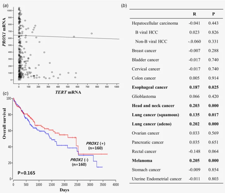 Figure 1. No correlation between TERT and PROX1 mRNA expression in hepatocellular carcinoma (HCC) (a)