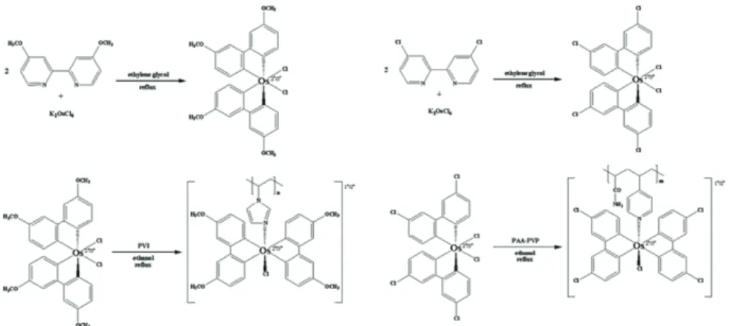 Fig. 1. The synthesis of PVI-[Os(4,4'-dimethoxy-2,2'-bipyridine) 2 Cl] +/2+  and PAA-PVP-[Os(4,4'-dichloro-2,2'-bipyridine) 2 Cl] +/2+ .