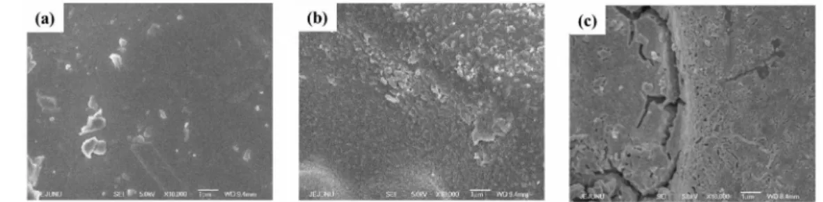 Figure 2. SEM images of (a) bare, (b) CuO-loaded and (c) Fe 2 O 3 -loaded monolith (magnification: 10,000).2