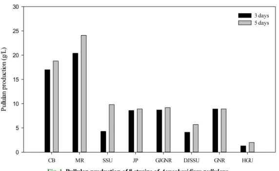 Fig. 2.  Pullulan and cell production of Aureobasidium pullulans MR by time.