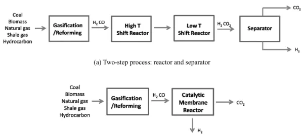 Figure 1. A pre-combustion CO 2  capture for a gasification/reforming process (a) two-step process: reactor and separator (b) one-step process: 
