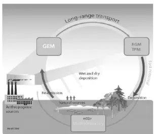 Figure 1. Schematic description of emission, chemical  transformation and deposition of atmospheric mercury.