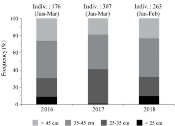 Fig. 5.  Inter­annual variations in composition of size classes of wall­