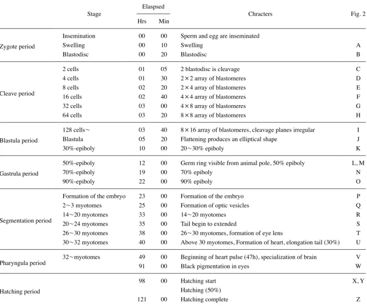 Table 1.  Time required for embryonic stages of Coreoleuciscus splendidus at water temperature 20±1℃