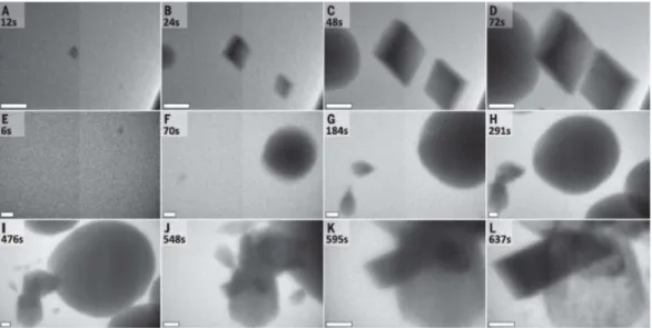 그림 1. Concurrent formation of multiple phases of CaCO 3 . Frames from in situ TEM movie show simultaneous nucleation and growth of calcite crystals [Nielsen et al., Science 345, 1158 (2014), DOI: 10.1126/science.1254501]
