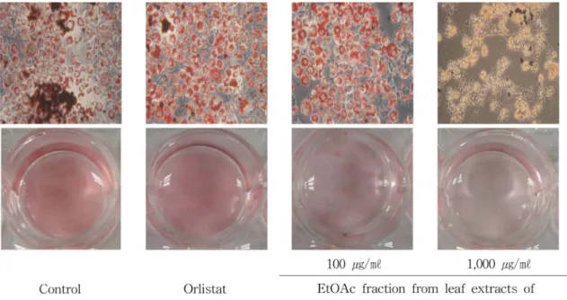 Table 5. Inhibitory effect of ethyl acetate and water fractions from 50% ethanol leaf extracts from Morus alba L