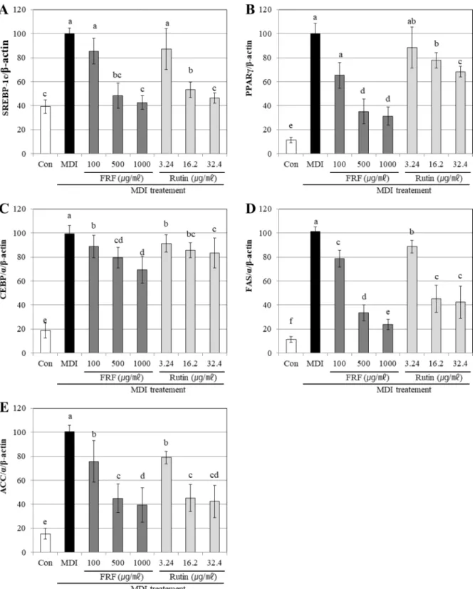 Fig. 3. Gene expression effects of flavonoid rich fraction (FRF) of Morus alba L. on adipocyte differentiation in 3T3-L1 cells confirmed RT-PCR