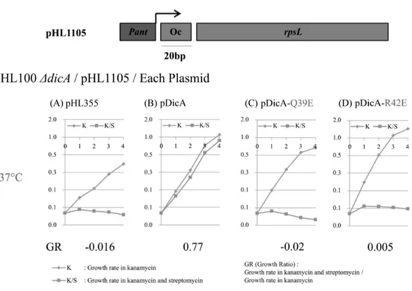 Fig. 4.  In vivo DNA binding activity of DicA and DicA-Q39E, DicA-R42E on Oc. In vivo DNA-binding activity of DicA and its mutant DicA-Q39E,  DicA-R42E to Oc-20 bp was measured by the growth rate of the host cell