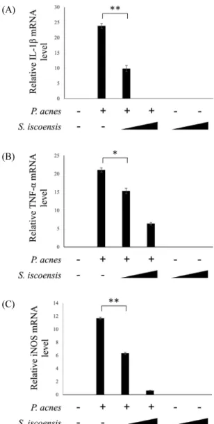 Fig. 2.  The effects of  S. iscoensis extract in P. acnes-induced cytokine  expression