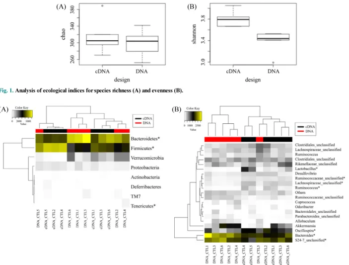Fig. 2.  Taxonomic composition analyses at the phylum level (A) and the genus level (B)