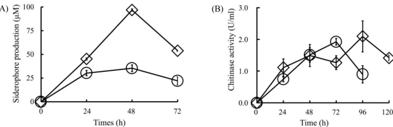 Fig. 1.  Catecholate siderophore (A) and chitinase (B) production by strains B. subtilis AF13 (○) and S