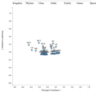 Fig. 1. Weighted unifrac matrix based on principal coordinate analysis  (PCoA) result of bacterial communities of phylum level.
