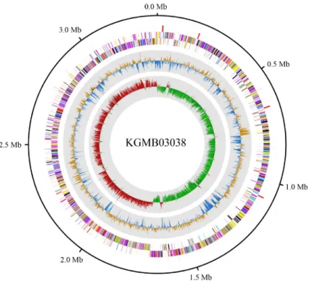 Fig. 1.  Complete genome map of Lachnospiraceae bacterium KGMB03038. From the center to the outside: GC skew (red and green), G + C content (yellow  and blue), CDS on the forward strand (colored by COG categories), CDSs on the reverse strand (colored by CO
