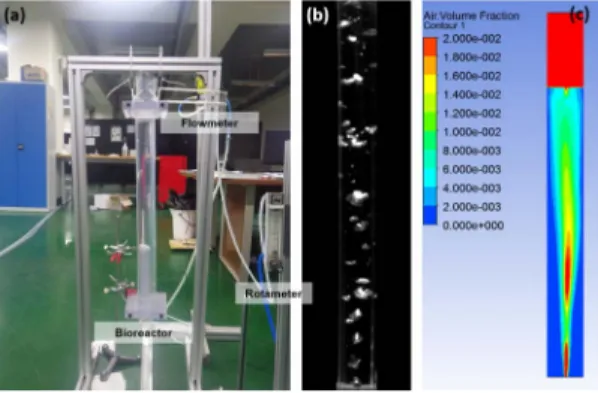 Figure 15 a) Experimental set-up, b) screenshot of a video record of a bubble column rising through a reactor, when the bubble plume oscillates to the front side, c) Air Volume Fraction on an x-y plane at z=0 at 17.3 s.