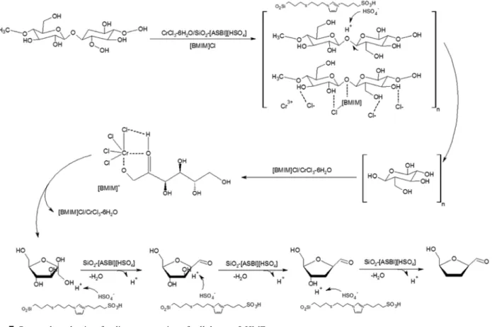 Figure 7. Proposal mechanism for direct conversion of cellulose to 5-HMF. 않고 유지될 수 있으며,  재사용이 가능하다는 것을 알 수 있다
