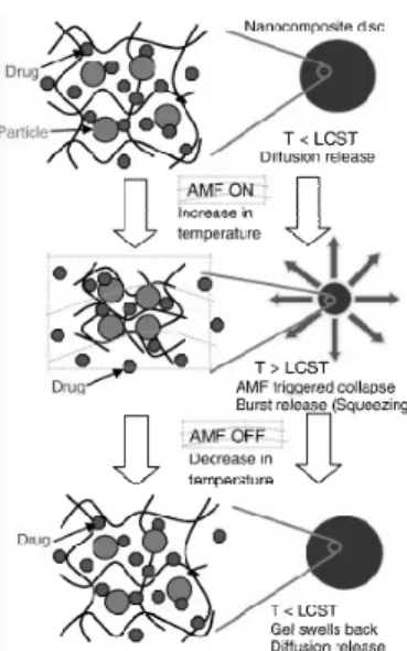 Figure 5. 고분자 네트워크 내의 PBA와 글루코오스의 상호작 용에  의한  인슐린  방출  시스템.