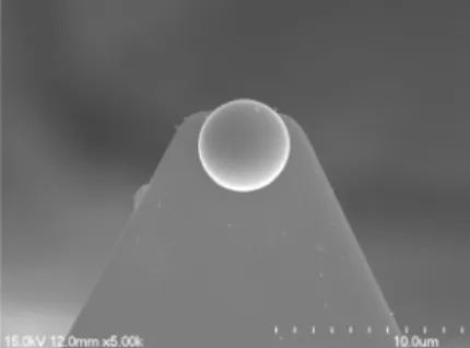 Figure 1. Zirconia sphere-attached-cantilever.