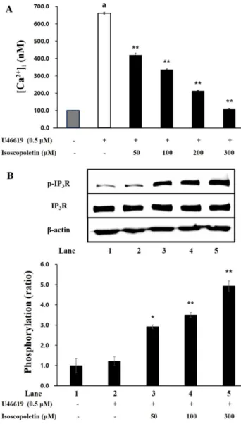 Fig.  3.  Effects  of  isoscopoletin  on  [Ca 2+ ]