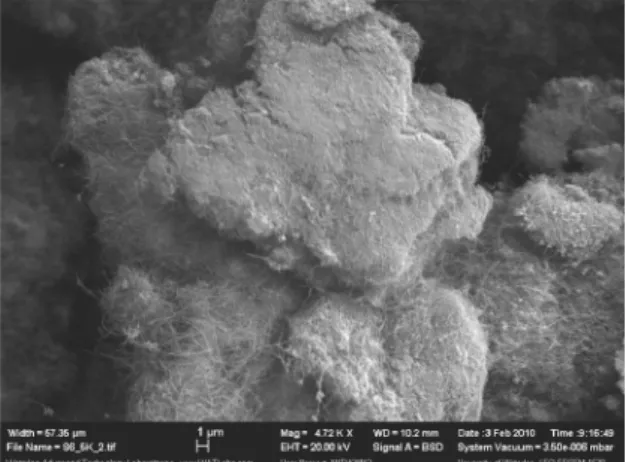 Figure 21. Spent Ni 0.5 Ca 2.5 Al catalyst after 20 h of CO 2  reforming  of CH 4  (5,000 × magnification).
