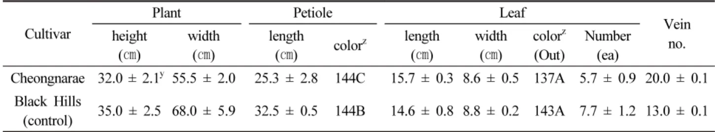 Fig. 3. The leaf characteristics of the new Hosta ‘Cheongnarae’ cuitivar (A) and H. ‘Black Hills’ (B).