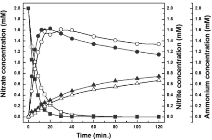 Figure 4. Nitrate (square), nitrite (circle) and ammonium (triangle)  concentrations as a function of reaction time for catalytic  nitrate reduction without CO 2  buffer (Solid: PCNT1, Open: 