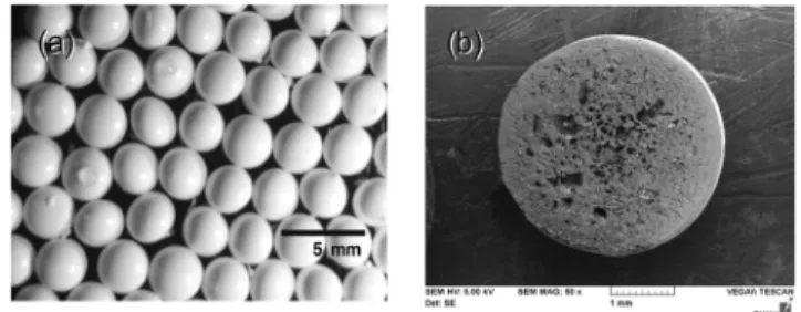 Figure 1은 제조한 PSf-Al(OH) 3   비드의 SEM  분석결과를 