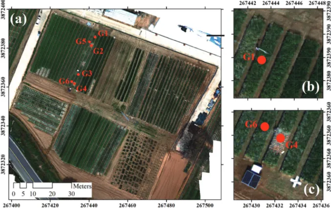 Fig. 1.  Positions of infrared thermometer (IRT) sensors in 2020: (a) Study area in South Korea, (b) region of interest (ROI) of IRT, and (c) ROI of IRT and ground control point (GCP) targets.