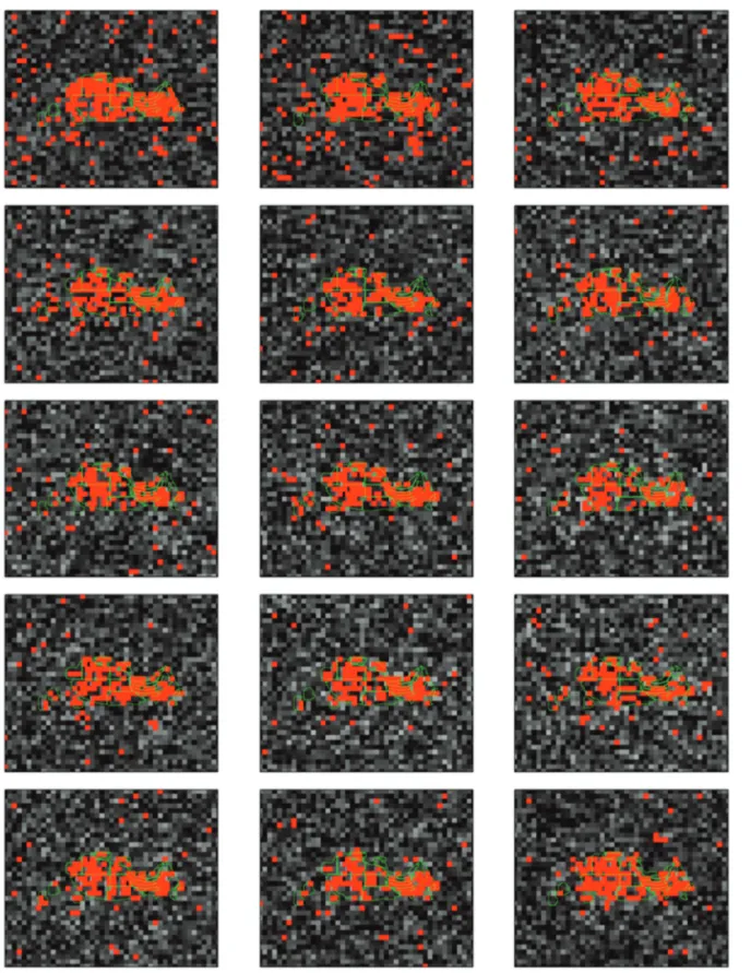 Fig. 8.  Detected results of the PV plant by using thresholding and coherence map.