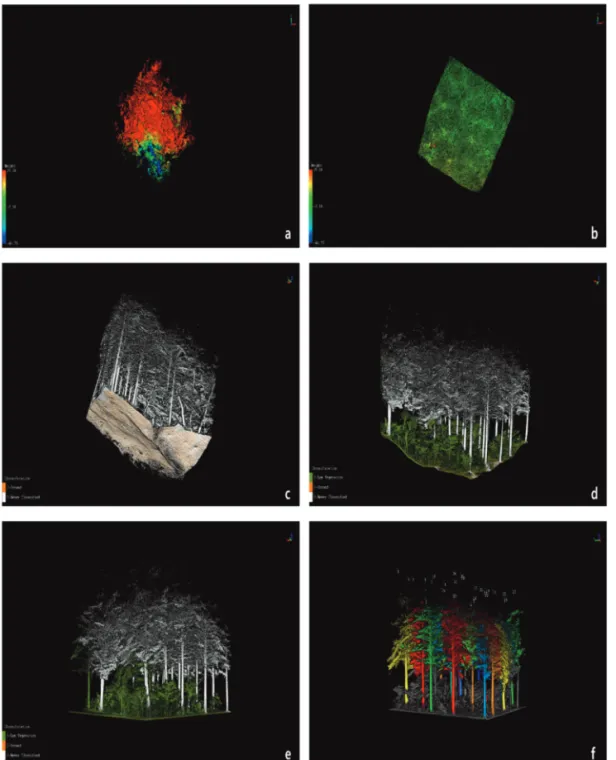 Fig. 3.  Procedures of extracting the forest variables (a: raw data, b: plot extraction, c: ground point classification, d: attribute allocation, e: normalized ground point, f: individual stem extraction).