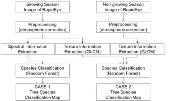 Fig. 2.  Flow Chart of the Study.