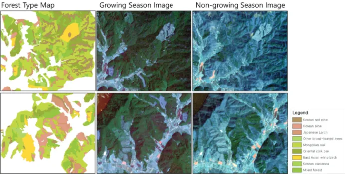 Fig. 3.  Comparison of Forest map and Satellite Imageries.