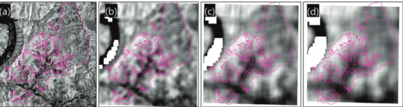 Fig. 6.  Difference of GLCM window size. (a) 3 by 3, (b) 39 by 39, (c) 75 by 75, (d) 103 by 103 (*Pink Line : boundary of target area.).