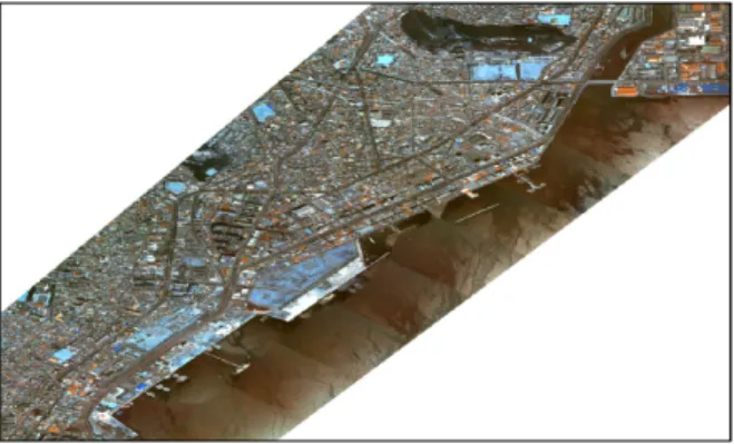 Fig. 11 Orthoimage(no control point).
