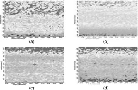 Figure 12. Raman microscope micrographs of the fracture surfaces of PLA/PBS/Clay-20 nanocomposites, (a) 0% (b) 1% (c) 3% (d) 5% of  Clay-20 content (X5000).