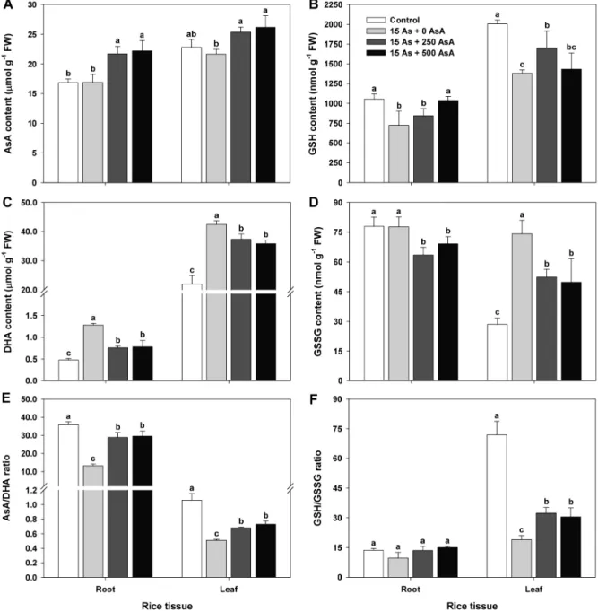 Fig. 4.  Effect of ascorbate (AsA) application on the content of AsA/GSH and DHA/GSSG, and the AsA/GSH redox ratio in  rice plants grown in the 15 µM arsenic (As)-treated hydroponics with or without AsA (250 and 500 mg kg −1 )  applications at the four-lea