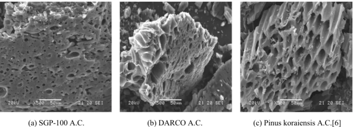 Figure 2. SEM images of activated carbons.