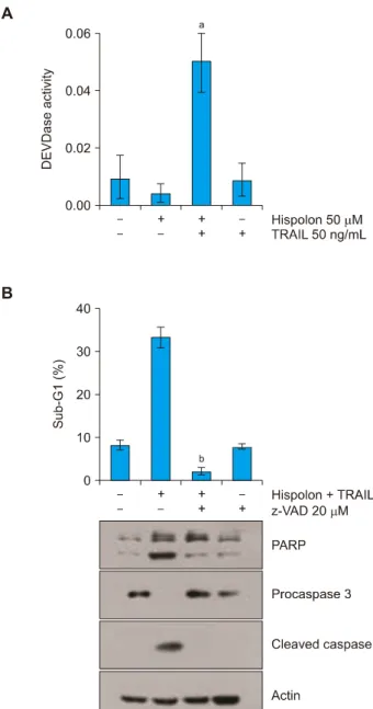 Figure 3.  Hispolon induces up-regulation of Bim expression. Caki  cells were treated with the indicated concentrations of hispolon for  24 hours