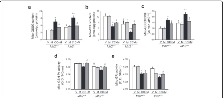 Fig. 4 Cisplatin administration impairs the mitochondrial GSH-mediated antioxidant system in the kidney