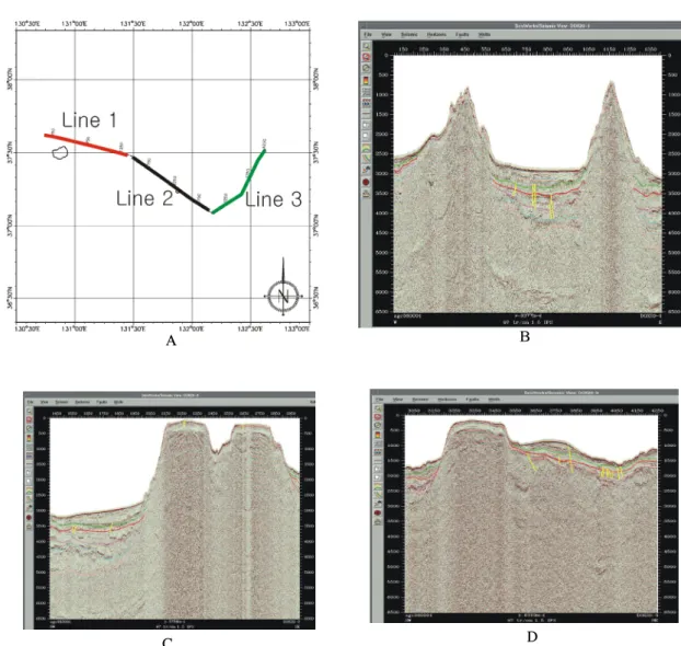 Fig. 1 The tracks of seismic lines(a), and interpreted migrated seismic section of Lines 1(b), 2(c) and 3(d).