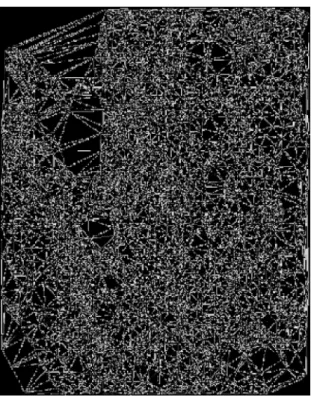 Fig. 4 A perspective wire frame of a gridded surface obtained from  a triangulated mesh
