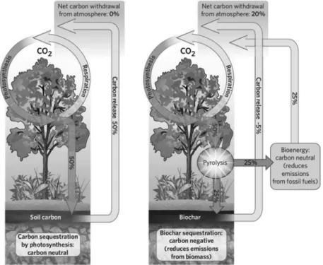 Figure 3. Comparison of carbon negative biochar sequestration to carbon neutral photosynthesis[2], with permission from the publisher.자를 받고 있다[8]
