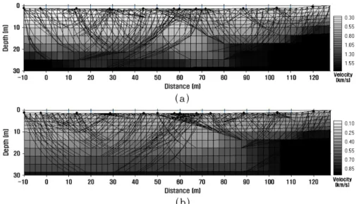 Fig.  6  (a)  P-  and  (b)  S-wave  tomograms.  Raypaths  and  cell  boundaries  are  superimposed  on  the  tomograms.